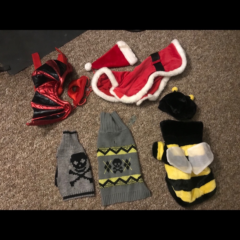 Lot of 19 Dog Costumes and Accessories | Small Dog